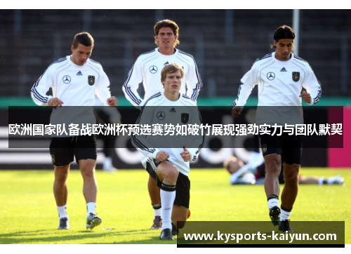 欧洲国家队备战欧洲杯预选赛势如破竹展现强劲实力与团队默契