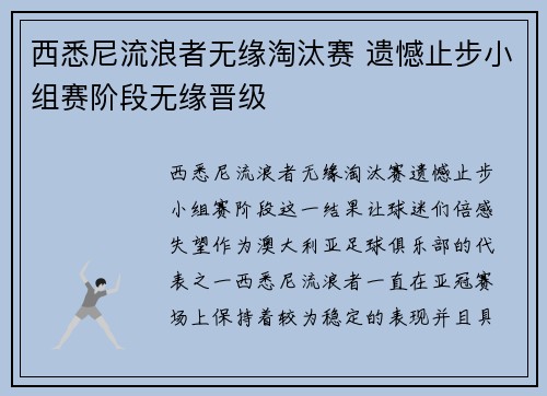 西悉尼流浪者无缘淘汰赛 遗憾止步小组赛阶段无缘晋级