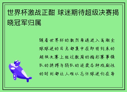世界杯激战正酣 球迷期待超级决赛揭晓冠军归属